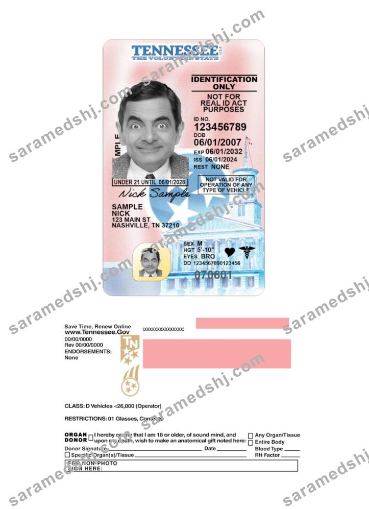 USA Tennessee under 21 driving license 2024-present